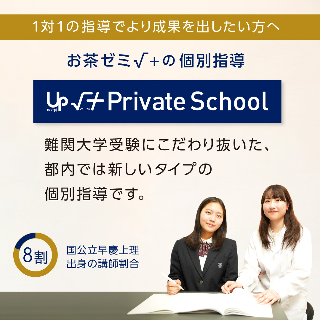 個別指導 √＋Private School