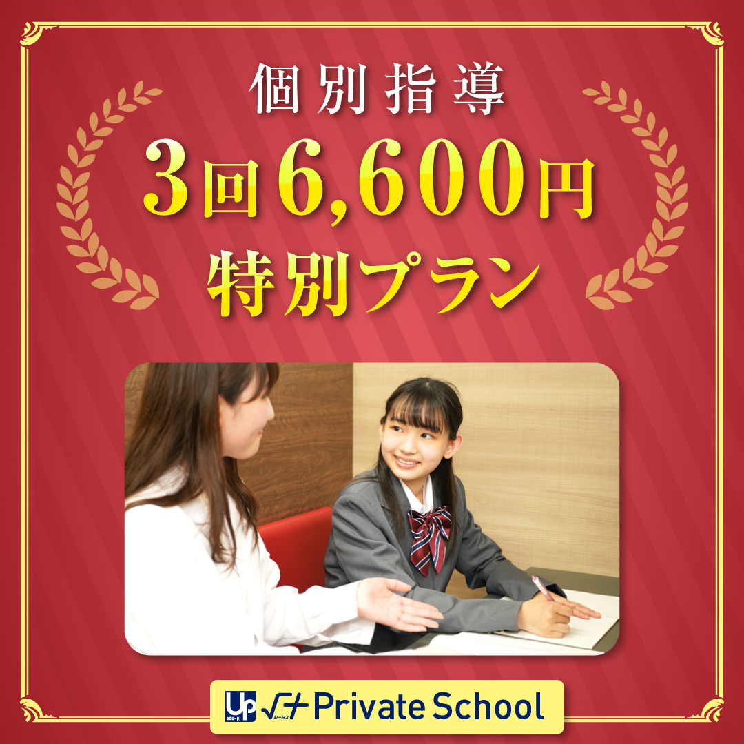 個別指導３回６,６００円特別プラン