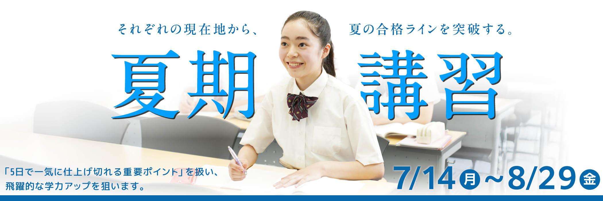 お茶ゼミの夏期講習