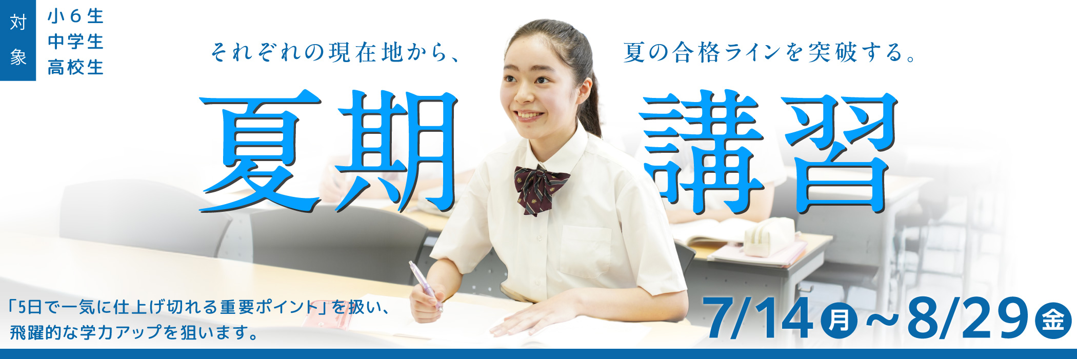 お茶ゼミの夏期講習